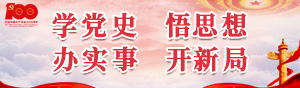 学党史 悟思想 办实事 开新局